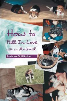 Paperback How to Fall in Love with an Animal Book