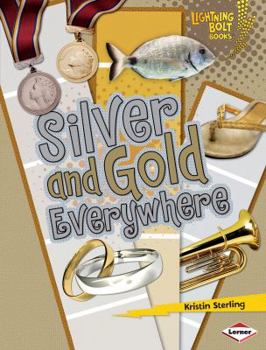 Silver and Gold Everywhere - Book  of the Lightning Bolt Books™ ~ Colors Everywhere