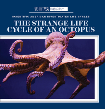 Paperback The Strange Life Cycle of an Octopus Book