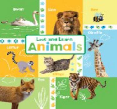 Board book Look and Learn Animals Book