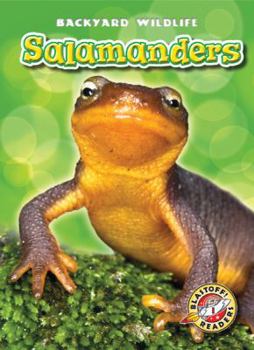 Salamanders - Book  of the Backyard Wildlife