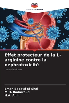 Effet protecteur de la L-arginine contre la néphrotoxicité (French Edition)