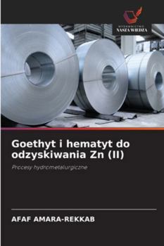 Paperback Goethyt i hematyt do odzyskiwania Zn (II) [Polish] Book