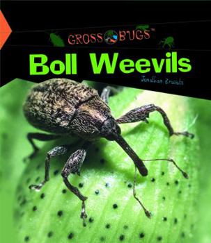 Library Binding Boll Weevils Book