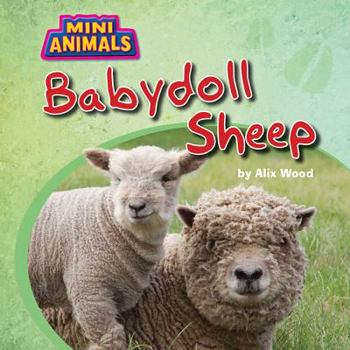 Library Binding Babydoll Sheep Book