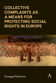 Paperback Collective Complaints as a Means for Protecting Social Rights in Europe Book