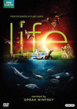 DVD Life Book