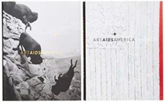 Hardcover Art AIDS America / Art AIDS America Chicago Boxed Set Book
