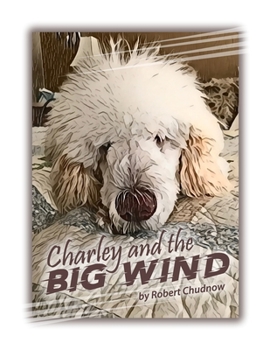 Paperback Charley and the Big Wind Book