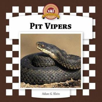 Library Binding Pit Vipers Book