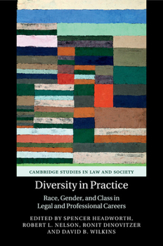 Paperback Diversity in Practice: Race, Gender, and Class in Legal and Professional Careers Book