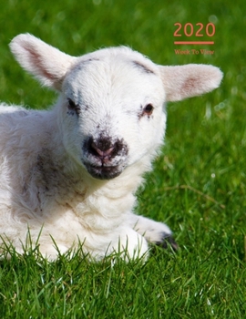 2020 A4 Diary Week To View Planner For All Occasions: | Year Planner For Business, Office, Home, University, College, School, Appointments, Organizer.