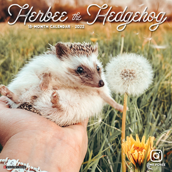 Calendar Herbee the Hedgehog 2022 Wall Calendar Book