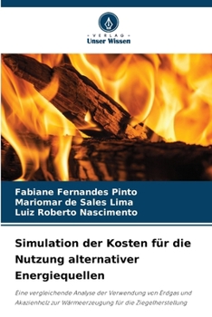 Paperback Simulation der Kosten für die Nutzung alternativer Energiequellen [German] Book