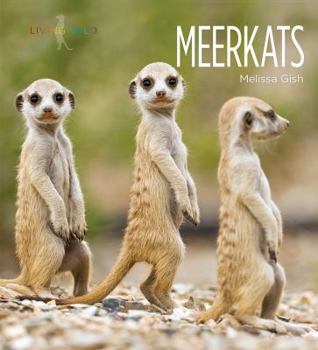 Meerkats - Book  of the Living Wild