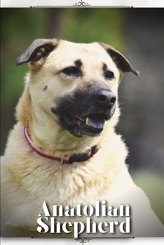 Paperback Anatolian Shepherd: Dog breed overview and guide Book