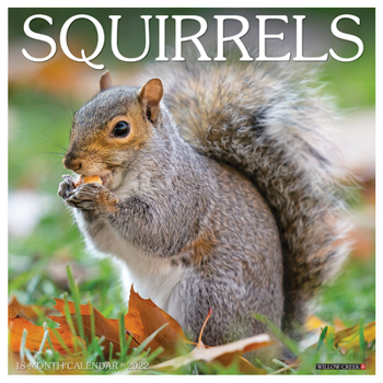 Calendar Squirrels 2022 Wall Calendar Book