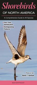 Pamphlet Shorebirds of North America: A Comprehensive Guide to All Species Book