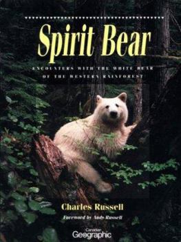 Paperback Spirit Bear: Encounters with the White Bear of the Western Rainforest Book