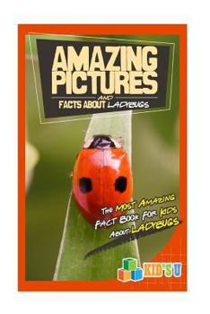 Paperback Amazing Pictures and Facts about Ladybugs: The Most Amazing Fact Book for Kids about Ladybugs Book