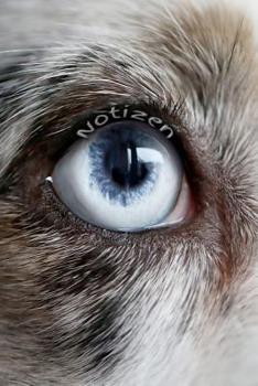 Notizen: F�rsorge Partnerschaft Freundschaft Liebe Romantik Liebeskummer Wut Trauer Tagebuch F�r M�dchen Frauen Einschreibbuch Terminplaner Jahrbuch Achtsamkeit Hund Australian Shepherd Auge