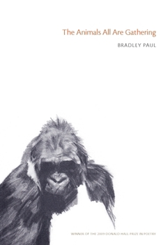 Paperback The Animals All Are Gathering Book