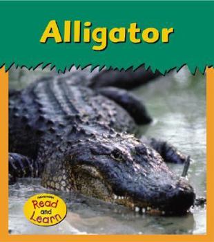 Paperback Alligator Book