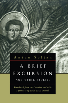 Paperback A Brief Excursion and Other Stories Book