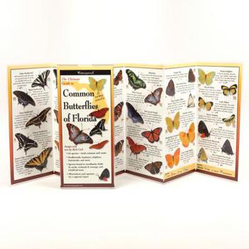 Pamphlet Common Butterflies of Florida Book