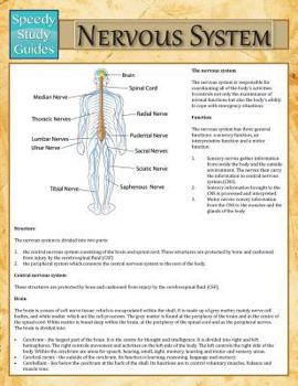 Paperback Nervous System (Speedy Study Guide) Book