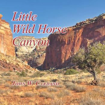 Paperback Little Wild Horse Canyon Book