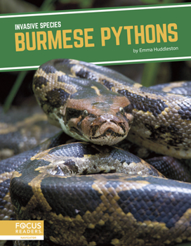 Paperback Burmese Pythons Book