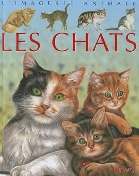 Paperback Chats [French] Book
