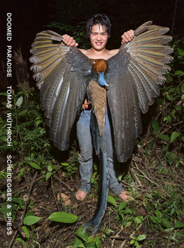 Paperback Doomed Paradise: The Last Penan in the Borneo Rainforest Book