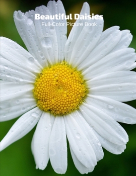 Beautiful Daisies Full-Color Picture Book: Flower Picture Book for Children, Seniors and Alzheimer’s Patients -Flowers Nature Gardening