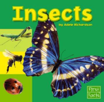 Paperback Insects (First Facts: Exploring the Animal Kingdom) Book