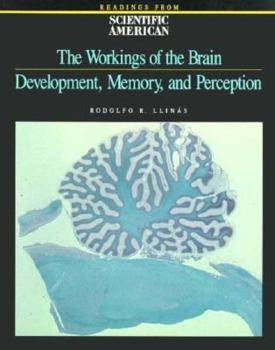 Paperback The Workings of the Brain: Development, Memory, and Perception: Readings from Scientific American Magazine Book