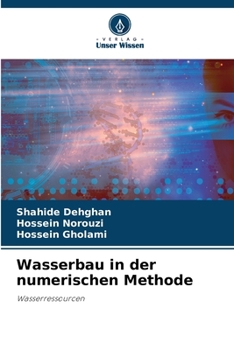 Paperback Wasserbau in der numerischen Methode [German] Book