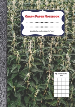 Paperback Graph Paper Notebook: Quad Ruled 4x4 - 110 Pages - 7" x 10" Squared Graphing Paper * Blank Notebook * Grid Paper * Softback ...(Composition Book