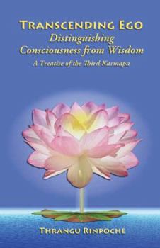 Paperback Transcending Ego: Distinguishing Consciousness from Wisdom Book