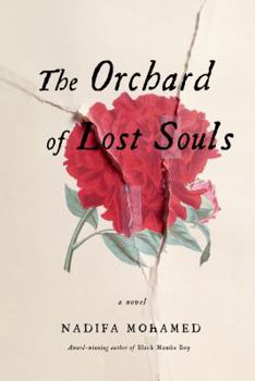 Hardcover The Orchard of Lost Souls Book