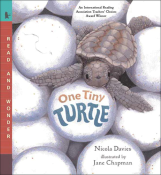Library Binding One Tiny Turtle Book