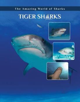 Tiger Sharks - Book  of the Amazing World of Sharks