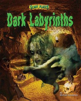Library Binding Dark Labyrinths Book