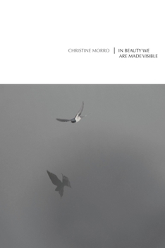 Paperback In Beauty We Are Made Visible Book