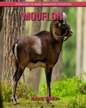 Paperback Mouflon: Fun Facts and Amazing Photos Book