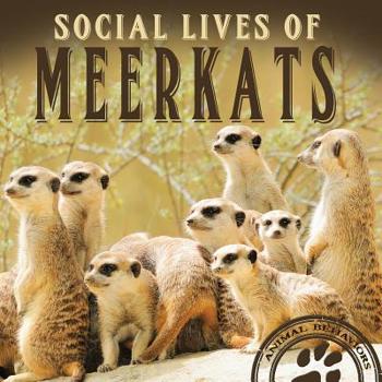 Paperback Social Lives of Meerkats Book