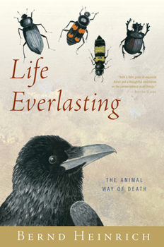 Paperback Life Everlasting: The Animal Way of Death Book