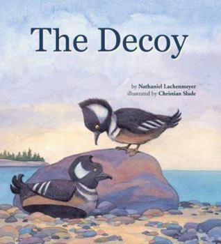 Hardcover The Decoy Book