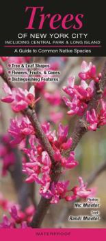 Pamphlet Trees of New York City, Incl. Central Park & Long Island: A Guide to Common Native Species Book